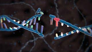 China wins race to test new gene-editing technique in humans