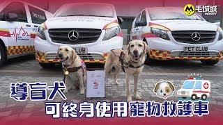 【MoNews】導盲犬可終身使用寵物救護車