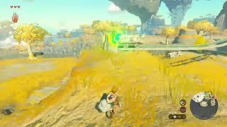 The Legend of Zelda: TOTK Cart Fail