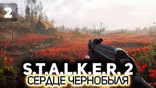 Второй заход ️ S.T.A.L.K.E.R. 2: Heart of Chornobyl [PC 2024] #2