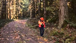 Find Your Path: Forest Engineer