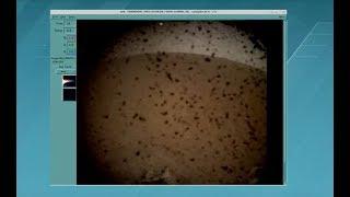 First Photo from InSight After Mars Landing