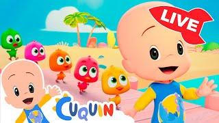  LIVE  Nursery Rhymes and children songs with Cleo and Cuquin