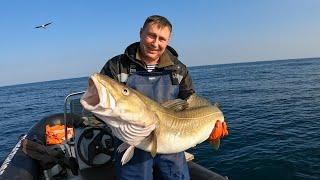 ОСЕННЯЯ ТРОФЕЙНАЯ РЫБАЛКА В БАРЕНЦЕВОМ МОРЕ / AUTUMN TROPHY FISHING IN THE BARENTS SEA