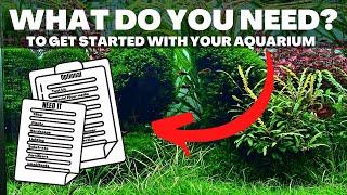 HOW TO: GET STARTED WITH AN AQUARIUM? 10 THINGS YOU NEED!