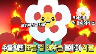 마음에 들지 않으면 스스로 불타 죽는 식물계의 돌아이