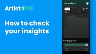 ArtistOne | How to Check Your Insights