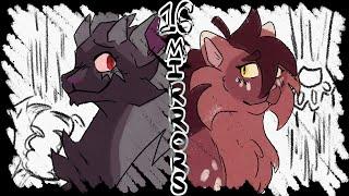 16 Mirrors [pmv]