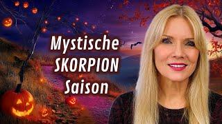 Dein Horoskop im November 2024