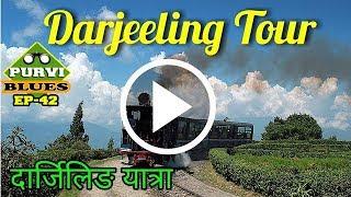 Darjeeling Vlog । Toy Train of Darjeeling, Zoo, Tea Garden, Peace Pagoda Visit