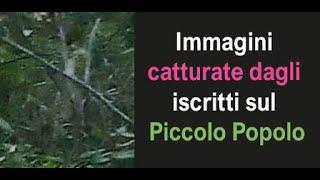 Immagini catturate dagli iscritti sul Piccolo Popolo