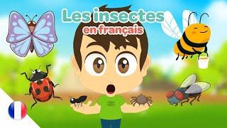 Learn Insect Names in French | insect for kids - Learn French with Zakaria