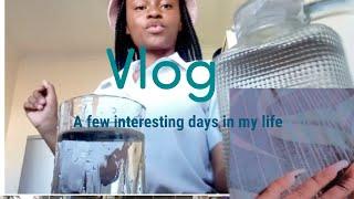 Random vlog //from school //looking at furniture for 2022//basic grocery // South African YouTuber