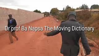 Dr Prof Ba Napsa embarks on a door to door campaign in Bauleni Compound