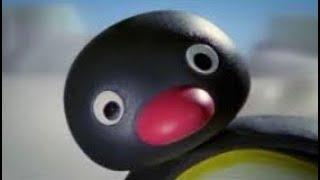 Pingu NOOT NOOT Compilation #3