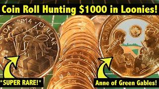 Coin Roll Hunting $1000 of Canadian $1 Coins (Loonies!) - *SUPER RARE* find + Anne of Green Gables!