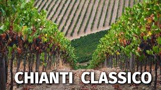 Great Italian Wines: CHIANTI CLASSICO