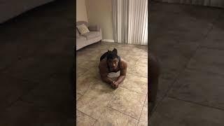 Home Workout Video “AB Workout” (Rotating Planks)