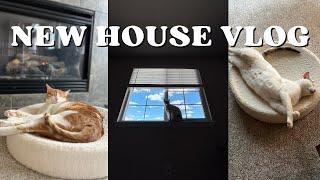 NEW HOUSE VLOG | 2 Weeks With the Cats in Our New Place!