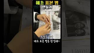 해초 표본 병 만들기 #해초 #유소년과학단 #표본