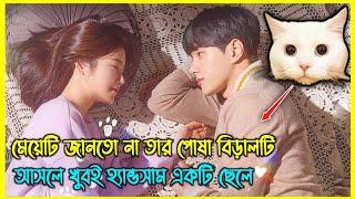 মেয়েটি জানতো না তার পোষা বিড়ালটি আসলে খুবই হ্যান্ডসাম একটি ছেলে