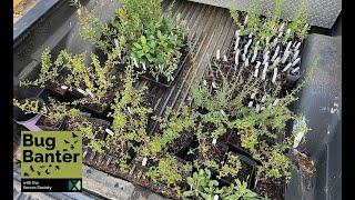 Season 2; Episode 11: How Habitat Kits Are Helping Save Pollinators