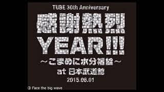 【耳で聴くライブ】2015年『TUBE 30 th Anniversary 感謝熱烈YEAR!!! ～こまめに水分補給～ at 日本武道館』セットリスト【作業用BGM】