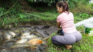 TIMELAPSE: Fishing Girl | Fishing Techniques, Unique Fishing | Fishing Skills Harvesting Big Fish