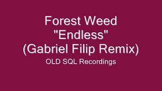 Forest Weed - Endless (Gabriel Filip Remix)