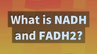 What is NADH and FADH2?