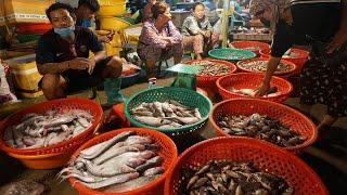 Early Morning Fish Market Scene @Bridge of Prek Phnov - The Big Site Distribute Fish & SeaFood