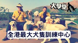 犬學堂 宣傳短片