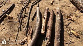 Types of firewood｜Open-fire bonfire｜Bonfire course for beginners