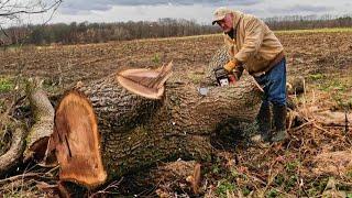 Cutting a Big Tree with a Little Saw