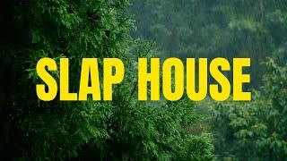 Slap House Mix 2024 Vol.1- Mixed BY DJ Live