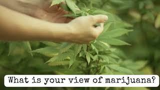 What is your view of marijuana?