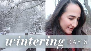 Ingredient Groceries + Winter Walks | January Wintering VLOGS