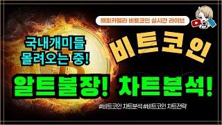 비트코인 실시간, 비트 상승 중! 알트불장 진입! 국내개미들 몰리는 중! 11/12 점심#비트코인 #비트코인실시간 #이더리움 #리플 #cryptocurrency #차트분석