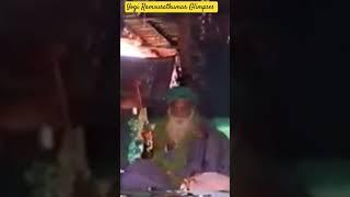 Yogi Ramsuratkumar Glimpses Darshan
