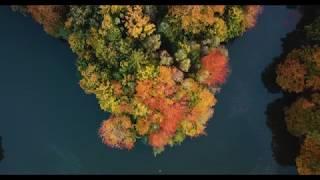 Wodzisław Śląski, Balaton 4K Dron