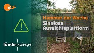 1,5 m hoher Aussichtsturm in Wandsbek | Hammer der Woche vom 9.11.2024 | ZDF