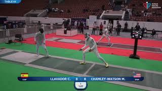 Foil of Saint-Petersburg 2019, T64 Chamley-Watson (USA) - Llavador (ESP)