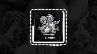 Tamer ElDerini - Habibi (Official Audio)