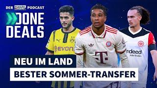 Olise, Theate & Co.: Neu im Land – die besten Sommer-Transfers 2024/25 | TRANSFERMARKT