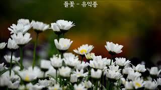 들꽃 - 유익종(가사 첨부)