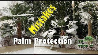 Palm Protection Mistakes