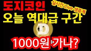 도지코인 오늘밤 1000원 승부처. 크로노스 폭등 아크 드리프트 캣인어독스월드 에이다 이더리움 수이 스택스 솔라나 . 비트코인 실시간 생방송 live.