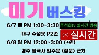 (가수 미기) 대구 수성못 버스킹 공연 주석회tv 실시간 방송 2025년6월7일