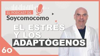  ADAPTÓGENOS, ¿qué son y cómo combinarlos?, con el Dr. Alberto Muhammad Wulff · # 60