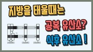 지방 태울때 공복 vs 식후유산소?